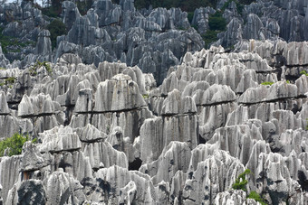 石头森林国家公园云南省