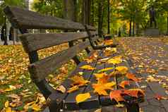 秋天叶子长椅公园