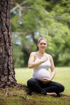 怀孕了女人肚子瑜伽冥想树公园