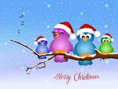鸟唱歌圣诞节