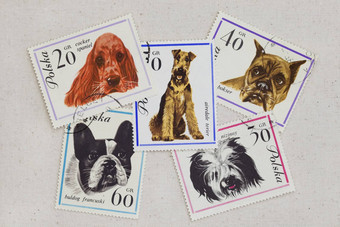 狗古董帖子邮票波兰