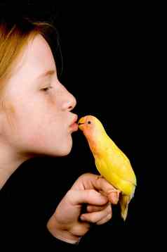 女孩接吻爱情鸟黑色的
