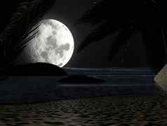 热带海滩晚上月光棕榈树