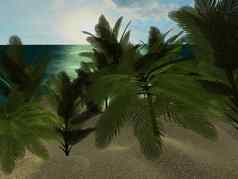 热带海滩白天棕榈树