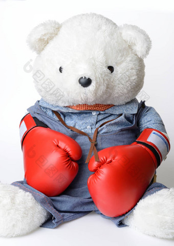 大白色泰迪熊穿拳击手套