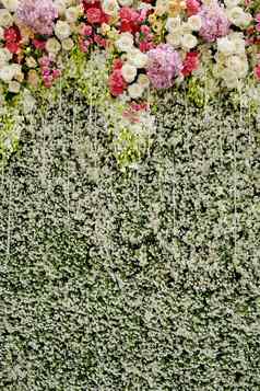 色彩斑斓的花绿色墙婚礼背景