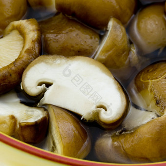 片干中国人蘑菇离开水