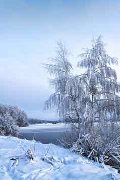 冬天景观树覆盖白霜湖