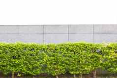 砖栅栏装饰花园孤立的白色使用