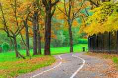 自行车路径空黄色的秋天公园