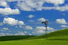风车绿色小麦字段云阴影蓬松的云惠特曼县华盛顿美国