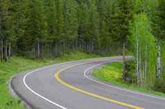 风景优美的高速公路罗奇波尔松森林大提顿国家公园提顿县怀俄明美国