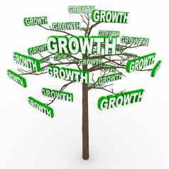 增长树单词分支机构象征着有机日益增长的