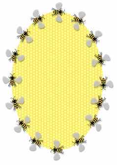 椭圆形蜜蜂框架
