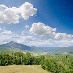 喀尔巴阡山脉的山夏天bukovel地区乌克兰