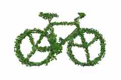 自行车使绿色叶子