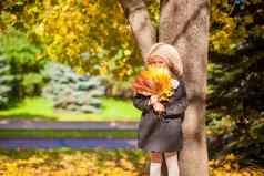 可爱的时尚女孩站树花束枫木叶子阳光明媚的秋天一天