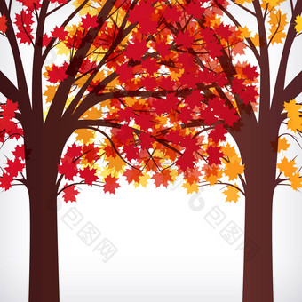 摘要背景枫木树分支机构使秋天阅读