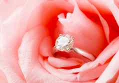 粉红色的玫瑰钻石环依偎内部