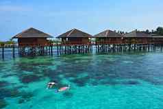 浮潜旅游生活海洋马布岛岛马来西亚