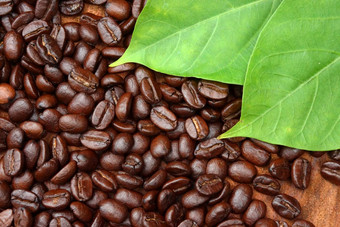 烤咖啡豆子木Arabica咖啡