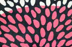 圆色彩斑斓的织物黑色的粉红色的背景图像