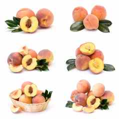集合新鲜的桃子水果