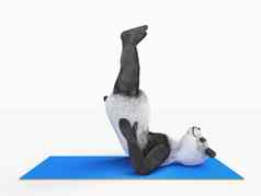 人士字符动物熊熊猫瑜伽伸展运动练习姿势体位