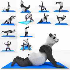 瑜伽动物体育运动熊猫培训练习集