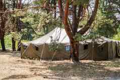 绿色帐篷帐篷野营野营森林