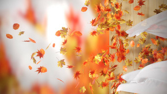 下降绕组秋天叶子窗帘背景
