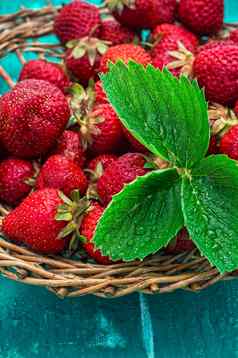 夏天收获草莓