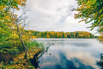 秋天湖景观色彩斑斓的树