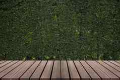 木装饰植物墙花园装饰