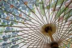 泰国雨伞花画