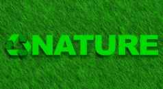 自然词绿色草