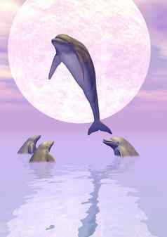 月光海豚