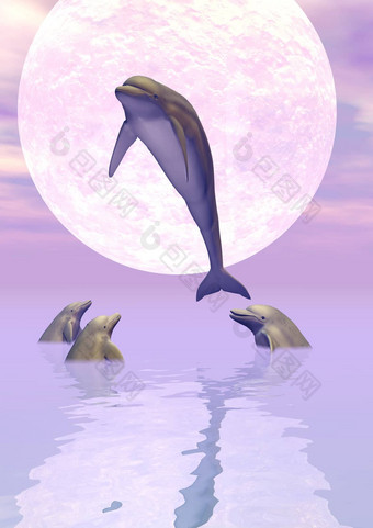 月光<strong>海豚</strong>