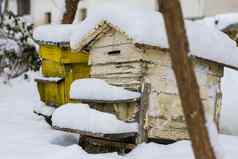 一对雪覆盖蜜蜂荨麻疹养蜂场冬季蜂房覆盖雪冬季养蜂