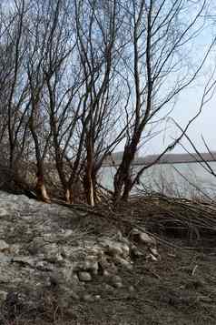 开始春天雪冰银行多瑙河河