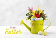 色彩斑斓的复活节鸡蛋含羞草花