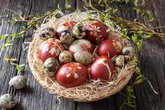 复活节鸡蛋染色洋葱皮鹌鹑鸡蛋