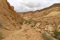 徒步旅行冬天沙漠以色列旅游