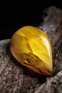 自然琥珀色的一块黄色的不透明的自然琥珀色的大一块黑暗用石头砸木