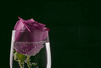 玫瑰玻璃闪闪发光的水泡沫模板问候卡