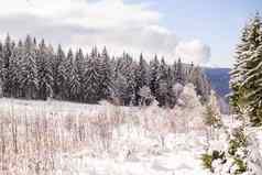 美妙的冬天景观美丽的巴伐利亚