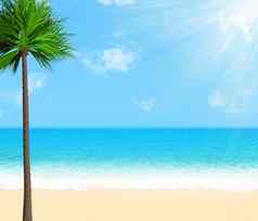 夏天海滩棕榈树云阳光