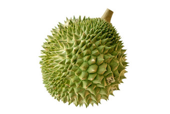 马来西亚著名的水果榴莲猫山王