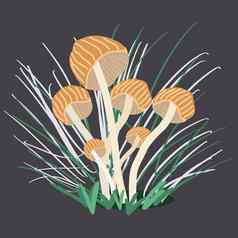 日益增长的蘑菇草