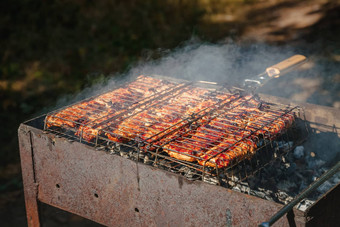 meat-kebab<strong>串烧</strong>烤炉篦前视图特写镜头